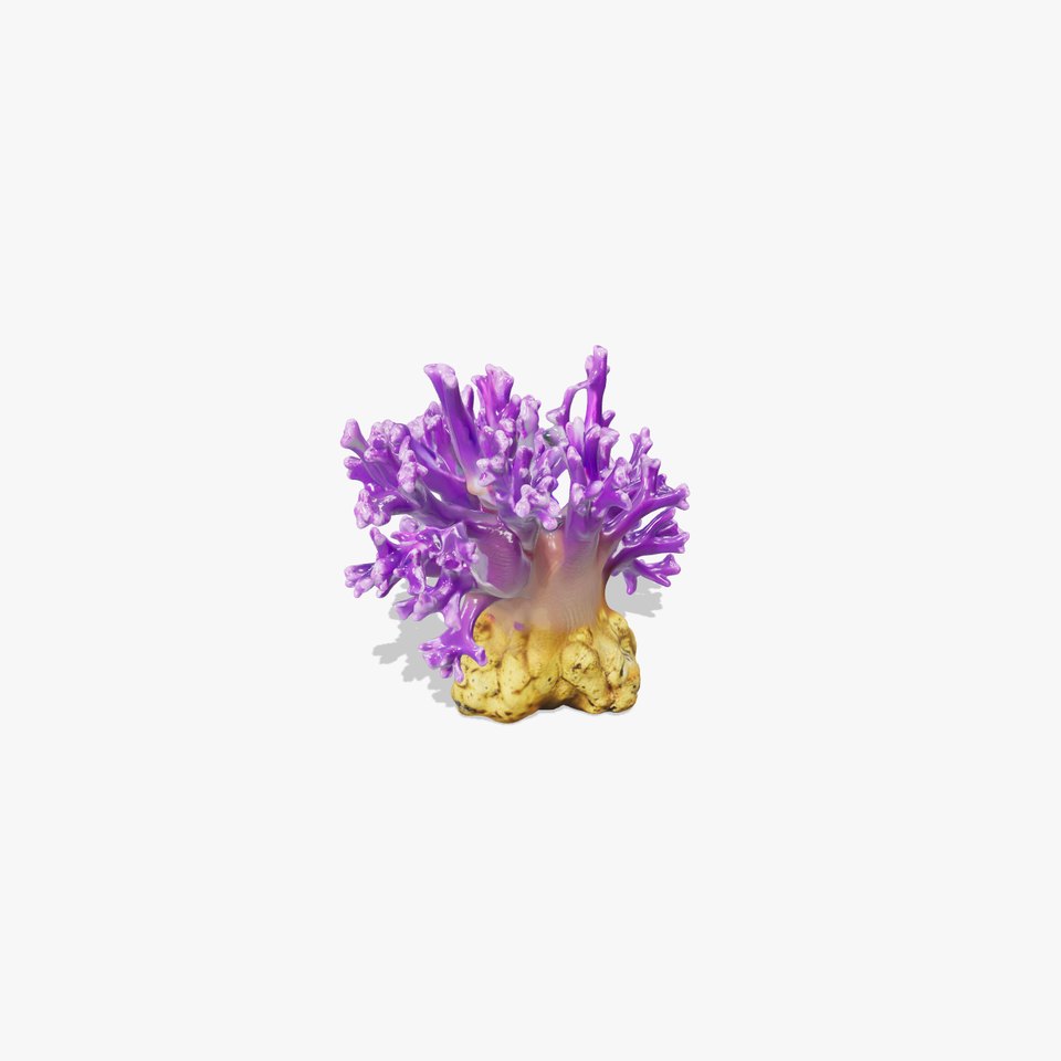 Vibrant Purple Coral Reef Model Pack